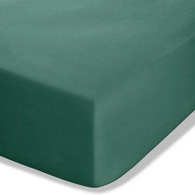 Sötétzöld gumis perkál lepedő 150x200 cm Easy Iron Percale – Catherine Lansfield