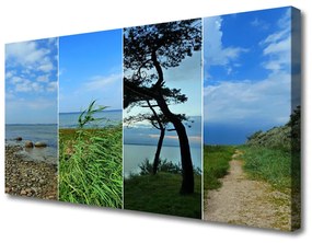 Vászonkép Beach fa táj 100x50 cm