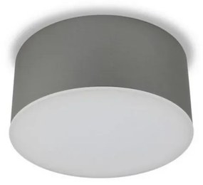 LED2 - LED Mennyezeti lámpa BUTTON LED/17W/230V ezüst