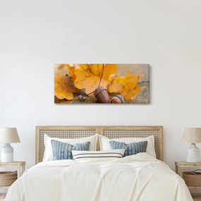 Kép - Őszi makk (120x50 cm)