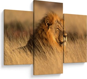 Kép - Etosha Nemzeti Park (90x60 cm)
