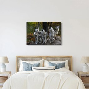 Kép - Farkasok a sziklán (90x60 cm)