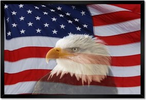 Poszterek keretben 60x40 Freedom from Usa