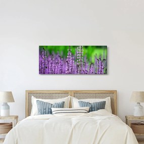 Lila mezei virágok képe (120x50 cm)