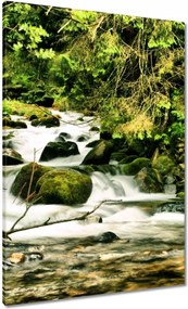 Vászonkép 70x100 Folyó a Tátrában