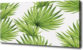 Vászonkép Trópusi levelek 100x70 cm