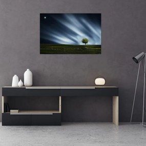 Az aurora borealis képe egy lápvidéken (90x60 cm)