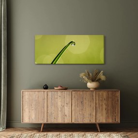 Víz csepp a fűben képe (120x50 cm)