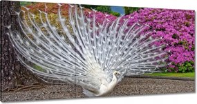 Vászonkép 180x90 Madarak