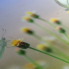 Pillangók eképe a virágon (120x50 cm)