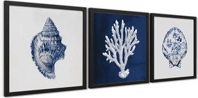 Kép 30x30 cm Sea Treasure – Styler