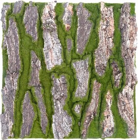 Tapéta Falmatrica Szőnyeg Természetes Kéreg szőnyeg 50x50 mesterséges zöld
