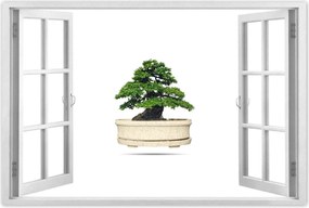 Poszterek 60x40 Bonsai fa