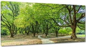Vászonkép 115x55 Zöldes park úttal