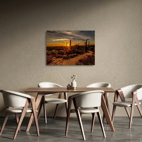 Kép - A nap vége az arizonai sivatagban (üvegen) (70x50 cm)