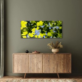 Kép - juhar levelek (120x50 cm)