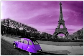 Poszterek 120x80 Lila Citroen