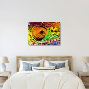 Kép - Kaméleon (70x50 cm)