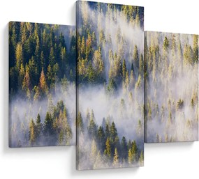 Fák képe a ködben (90x60 cm)