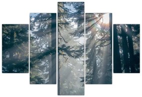 Fák képe a ragyogó nappal (150x105 cm)
