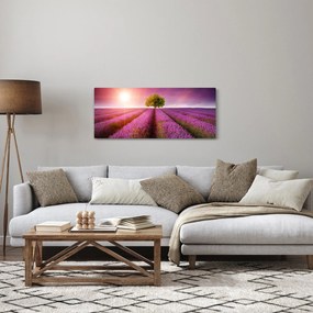 Levendula mező képe (120x50 cm)
