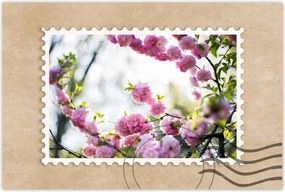 Poszterek 90x60 Rózsaszín virágok Gyönyörű