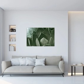 Kép - Zöld agávé (90x60 cm)