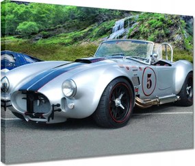 Festmények 40x30 Shelby