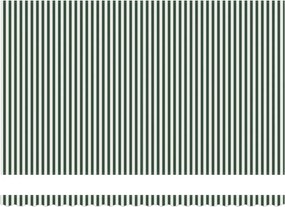 Behúzható napellenző Zöld és Fehér 500 × 300 cm