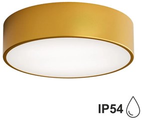 Brilagi - Fürdőszobai mennyezeti lámpa CLARE 2xE27/24W/230V átm. 30 cm IP54 arany 8590828607014