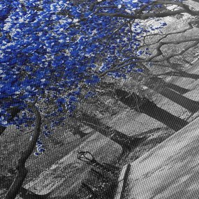 Kép - Kék fák, Central Park, New York (90x60 cm)