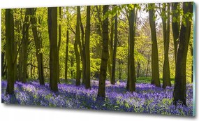 Fotó üvegkép Trópusi tengerpart 125x50