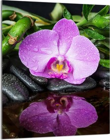 Üveg Vágódeszka 40x52 Orchidea Konyha