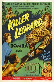 Illusztráció Killer Leopard