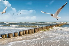 Dekoratív fotótapéta Furnér Flizelin Tengerparti tájkép 104x70 Ragasztó