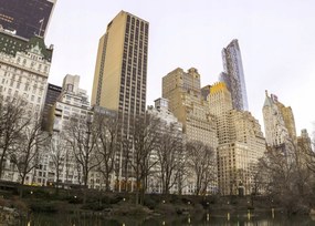 Poszter 70x50cm Központi park Manhattan panorámával 3, Assaf Frank