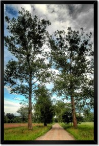 Poszterek keretben 40x60 Vidéki út