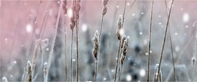 Kép - Pillanat (120x50 cm)