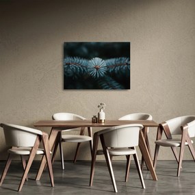 Egy tűlevelű fa gallyának képe (üvegen) (70x50 cm)
