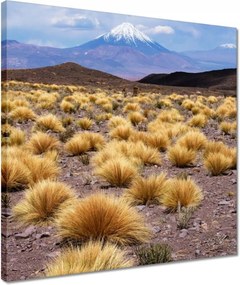 Vászonkép 40x40 Tájképek Kilátások Tájképek