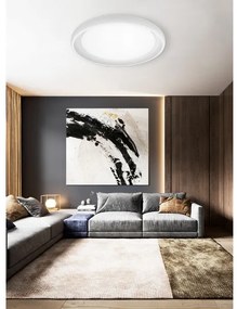 Top Light - LED Dimmelhető mennyezeti lámpa SALERNO LED/60W/230V 3000-6500K fehér + távirányító