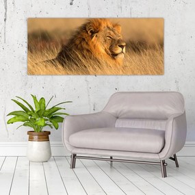 Kép - Etosha Nemzeti Park (120x50 cm)