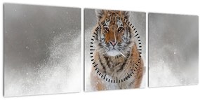Futó tigris a hóban képe (órával) (90x30 cm)