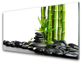 Fali üvegkép Bamboo gyönyörű grafika 100x50 cm
