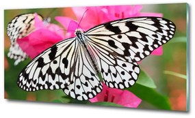 Üvegkép Pillangó a virágon osh-111962748