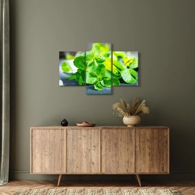 A menta képe (90x60 cm)