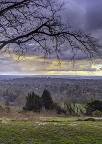 Poszter 42x59,4cm Reigate Hill 2, Assaf Frank