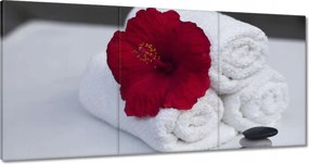 Festmények 120x60 Spa