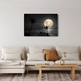 Kép - A strand a telihold alatt szürke tónusokkal (90x60 cm)