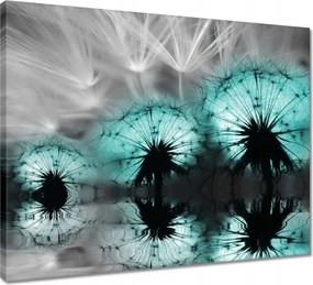 Vászonkép 50x40 Türkiz pitypangok